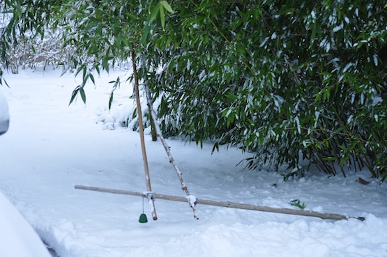 artenblog | Wild Gardening | Bambus Winter | Garten Blog über einen Garten in der Heide 